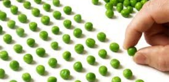 El Trastorno Obsesivo Compulsivo (TOC)